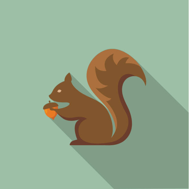 süße herbst-symbol - eichhörnchen mit eichel - eichhörnchen stock-grafiken, -clipart, -cartoons und -symbole