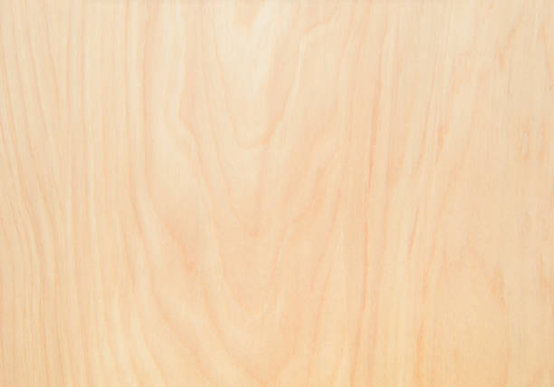 istock Wood texture with natural wood pattern for design and decoration 1009442754