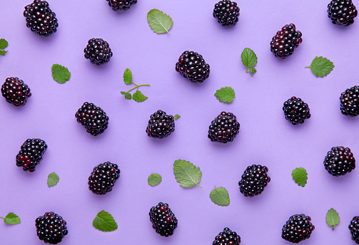 Blackberry and green leaves pattern on a purple background. Top view