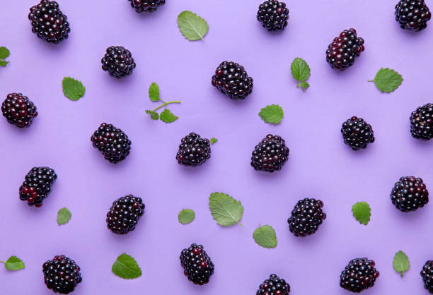 Blackberry and green leaves pattern on a purple background. Top view stock photo