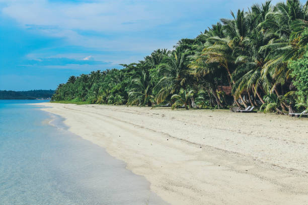 Tropical sandy beach with palm trees tropical island Mentawai Islands stock pictures, royalty-free photos & images