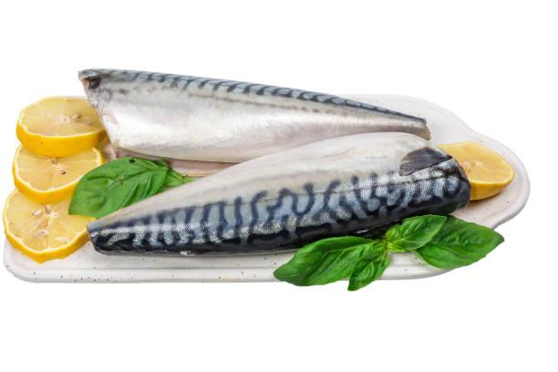 istock Raw mackerel with lemon and basil on white cutboard isolated on white background 1009464680