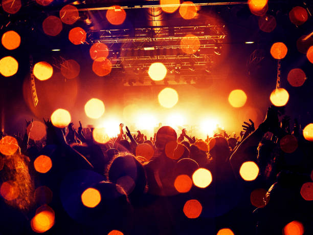 istock Concert crowd in front of a live stage 1009468564