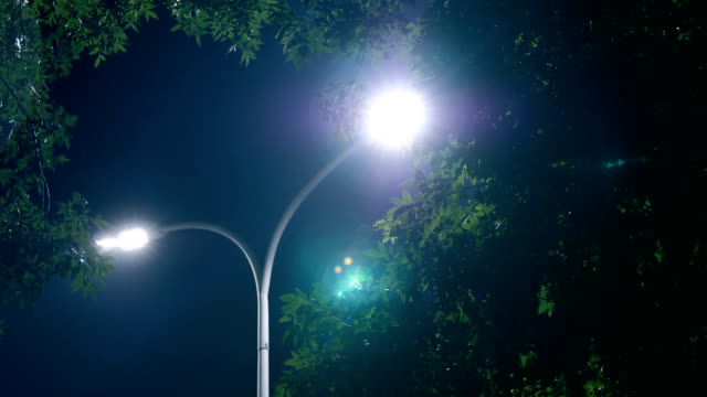Lamp at night
