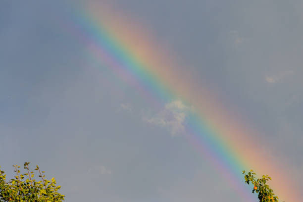 istock Rainbow in the sky after a rain 1009474950