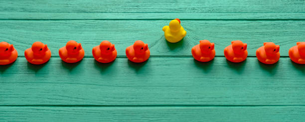 Line of rubber ducks, moving in an orderly line, with one different yellow colored duck moving out of the line following it's own direction, set on a turquoise colored wooden grained background, conceptually representing water.