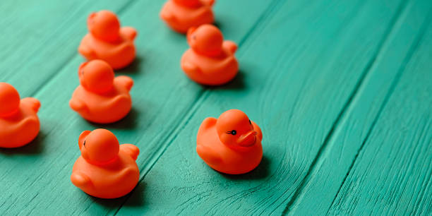 istock Group of rubber ducks, moving together in the same direction, with one duck moving in the opposite direction, set on a turquoise colored wooden grained background, conceptually representing water. 1009477104