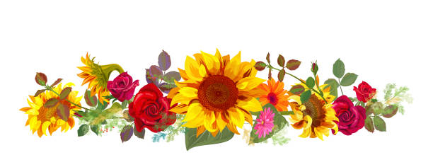 Horizontal autumn’s border: orange, yellow sunflowers, red roses, gerbera daisy flowers, small green twigs on white background. Digital draw, illustration in watercolor style, panoramic view, vector Horizontal autumn’s border: orange, yellow sunflowers, red roses, gerbera daisy flowers, small green twigs on white background. Digital draw, illustration in watercolor style, panoramic view, vector vector food branch twig stock illustrations