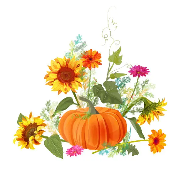 Vector illustration of Horizontal autumn border: orange pumpkin, yellow sunflowers, gerbera daisy flower, small green twigs of Asparagus on white background. Digital draw, illustration in watercolor style for design, vector