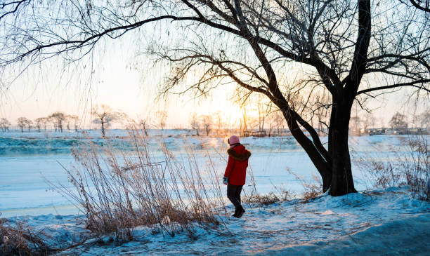 istock Woman standing by the lakeside in winter 1009486224