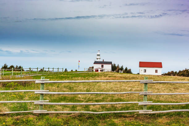istock Lobster Traps in Broom Point 1009489980