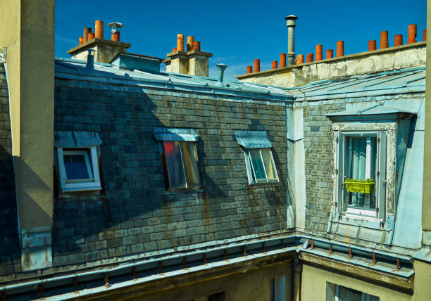 istock Paris roof tops 1009493324