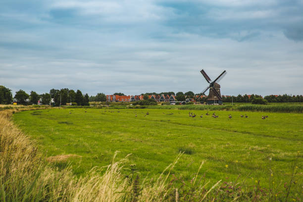 mulino a vento de nachtegaal (anno1669) nella provincia olandese dell ' olanda settentrionale, paesi bassi. - anno foto e immagini stock