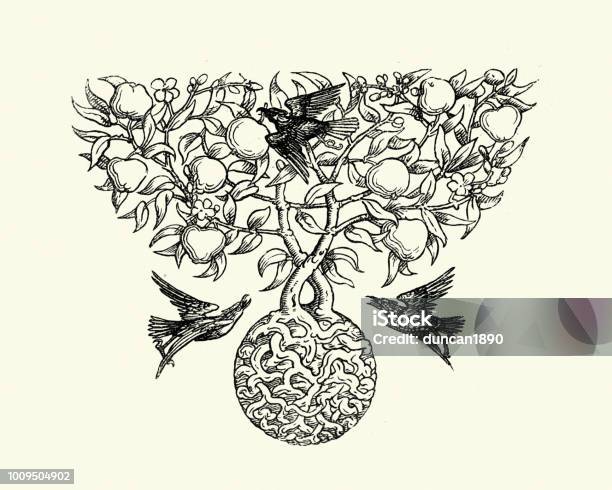 Crows On The Apple Tree 19th Century Stock Illustration - Download Image Now - Archival, Old-fashioned, Retro Style