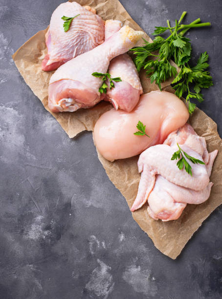 istock Raw chicken meat fillet, thigh, wings and legs 1009518182