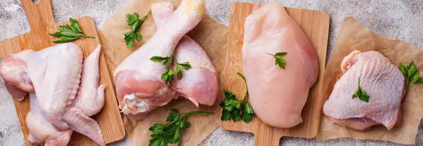 Photo of Raw chicken meat fillet, thigh, wings and legs