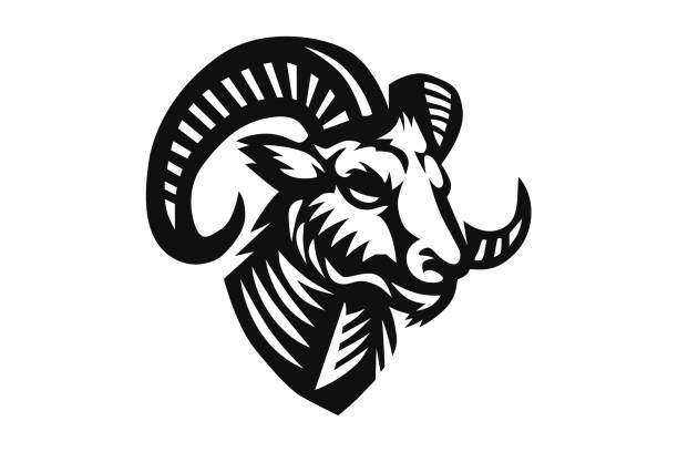 ilustrações de stock, clip art, desenhos animados e ícones de ram mascot logo illustration - wildlife sheep animal body part animal head