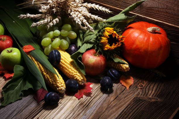 Autumn nature concept. Fall fruit and vegetables on wood. Thanksgiving dinner