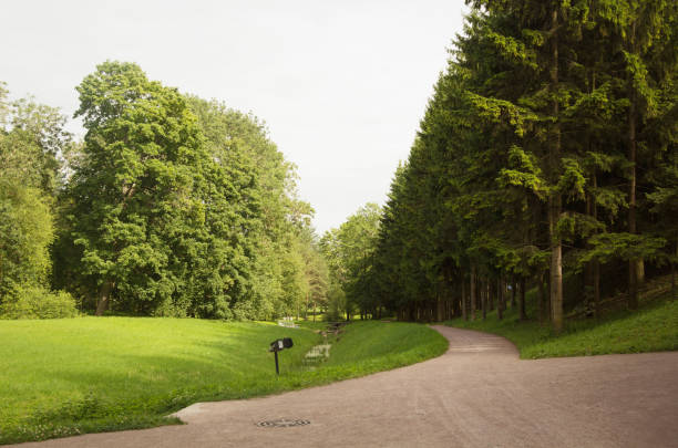 istock The road in the summer Park 1009535654
