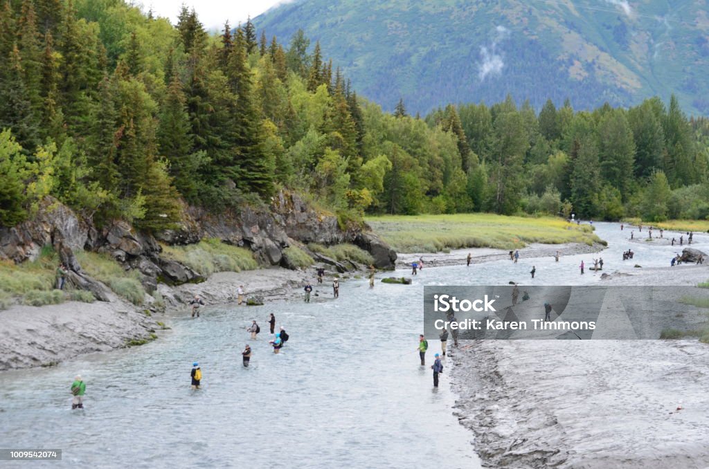 Fisherman line Bird Creek for the silver salmon run Bird Creek is lined with fisherman hoping to catch silver salmon against the backdrop of the Chugach Mountains on the outskirts of Anchorage, AK. Fishing Stock Photo