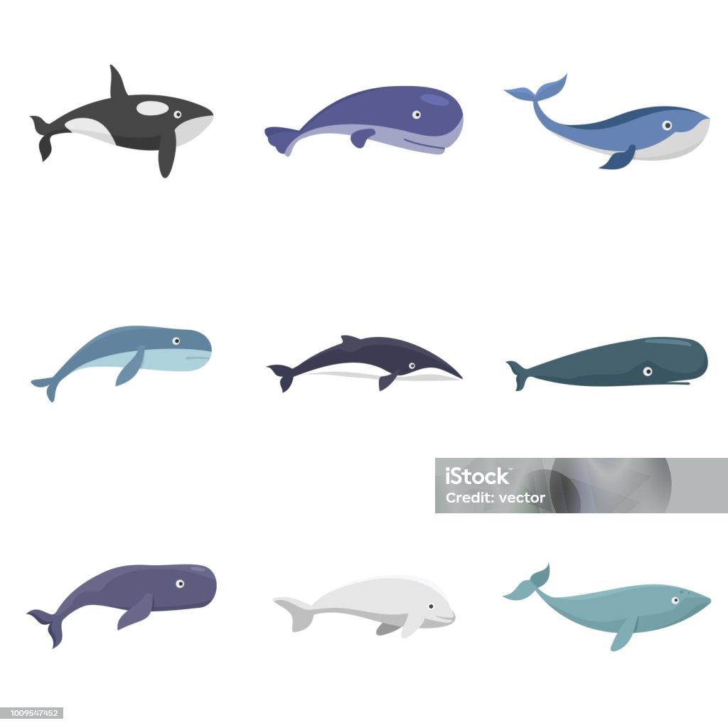Whale blue tale fish icons set vector isolated Whale blue tale fish icons set. Flat illustration of 9 whale blue tale fish vector icons isolated on white Icon Symbol stock vector