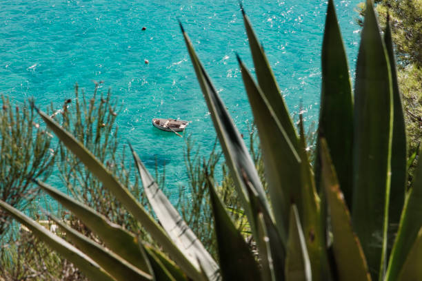 A wooden row boat floats peacefully in Ibiza's water casting a shadow in the seabed. It is seen through Agave leaves.