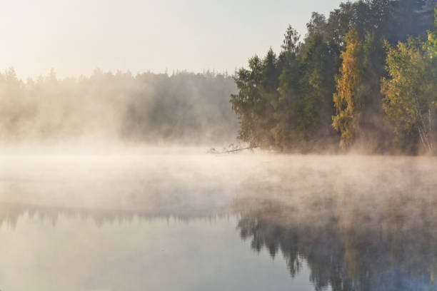 istock foggy lake landscape 1009550330