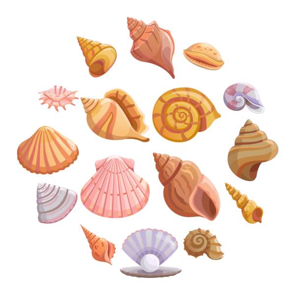 Sea shell beach icons set, cartoon style Sea shell beach icons set. Cartoon illustration of 16 Sea shell beach tropical underwater vector icons for web seashell stock illustrations