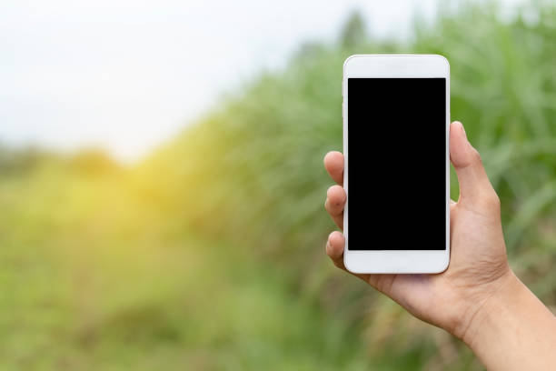 istock Hand holding smartphone on nature background. 1009551808