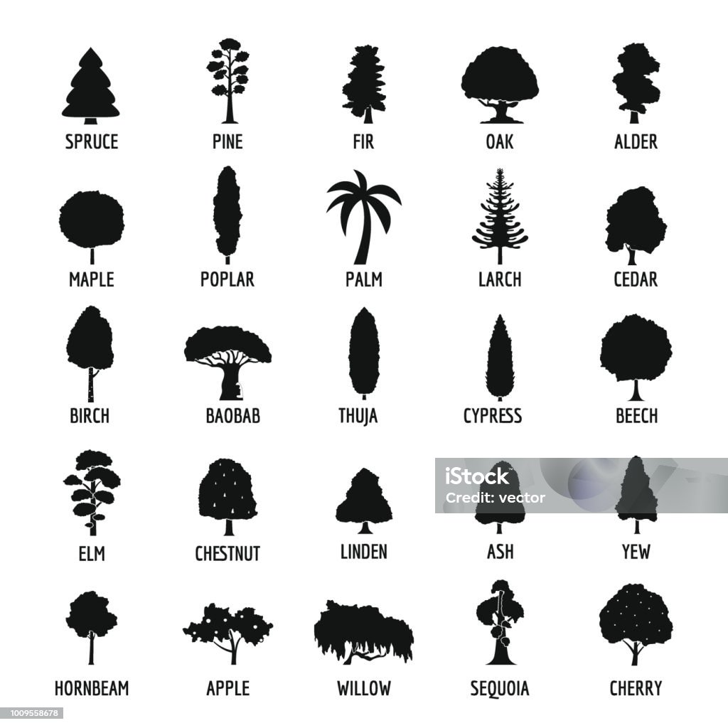Tree icons set, simple style Tree icons set. Simple illustration of 25 tree vector icons for web Icon Symbol stock vector