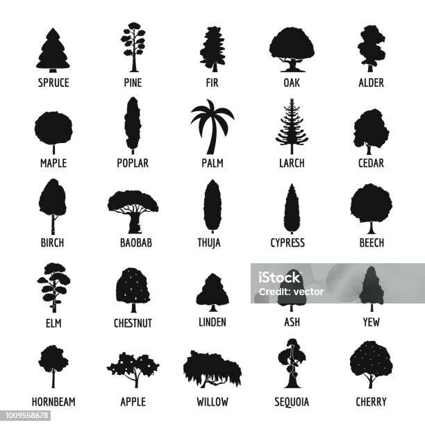 Tree Icons Set Simple Style Stock Illustration - Download Image Now - Icon Symbol, Cypress Tree, Alder Tree