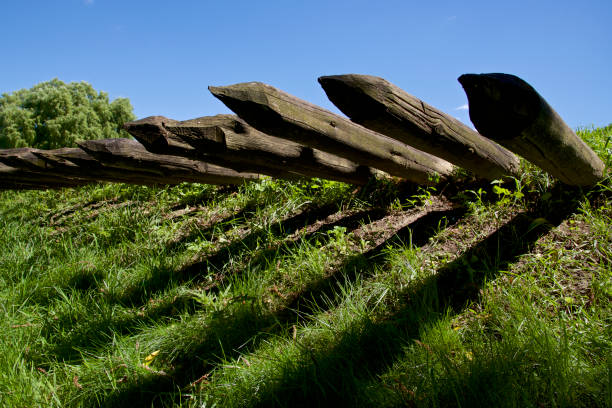 istock wooden pillar in Fort York, Toronto 1009561144