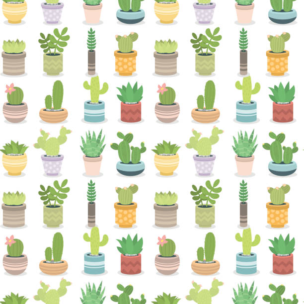 ilustrações de stock, clip art, desenhos animados e ícones de cactus green plant cactaceous home nature cacti vector illustration of tree with flower seamless pattern background - cactaceous