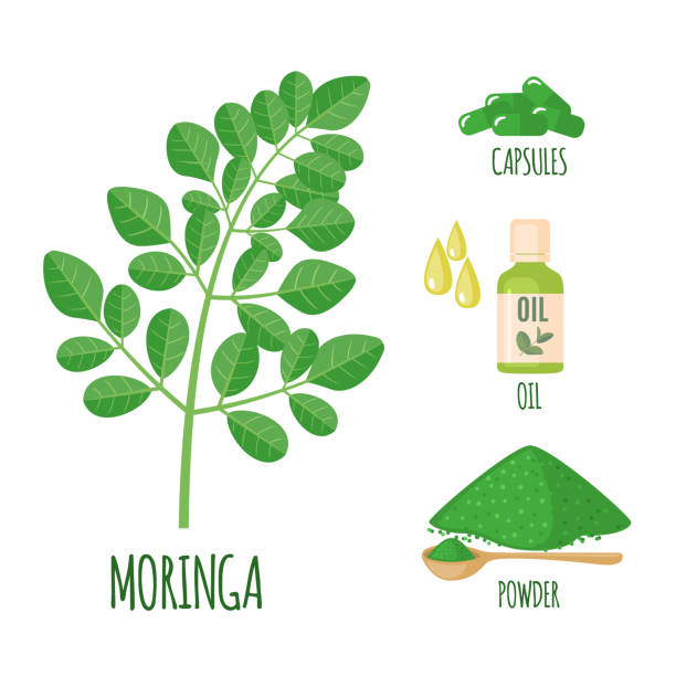 ilustrações de stock, clip art, desenhos animados e ícones de moringa set with powder, oil and capsules in flat style. - nutritional supplement herbal medicine pill nature