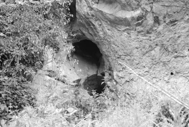 istock Rock, cliff, foliage in monochrome 1009565472