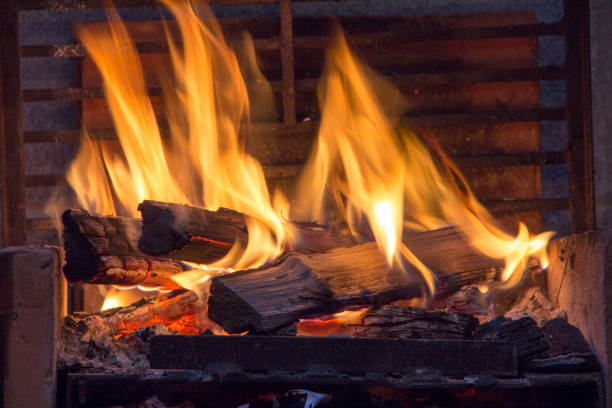 istock bonfire of coal, fire, smoke 1009573182