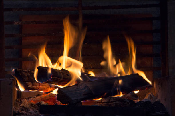 istock bonfire of coal, fire, smoke 1009581520
