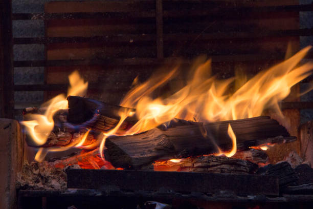 istock bonfire of coal, fire, smoke 1009592190