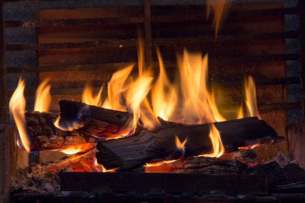 istock bonfire of coal, fire, smoke 1009597148