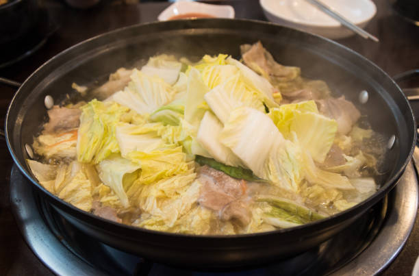sopa de repolho e carne de porco estufada - adulation asia cooked food - fotografias e filmes do acervo