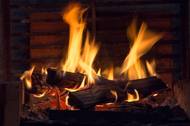 istock bonfire of coal, fire, smoke 1009597562