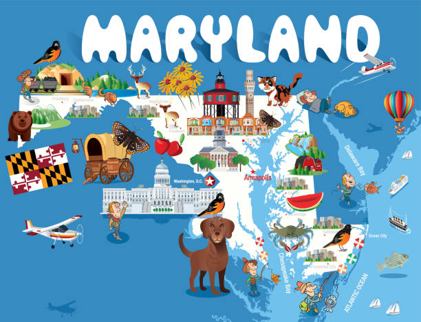 мультфильм карта maryland - maryland blue crab stock illustrations