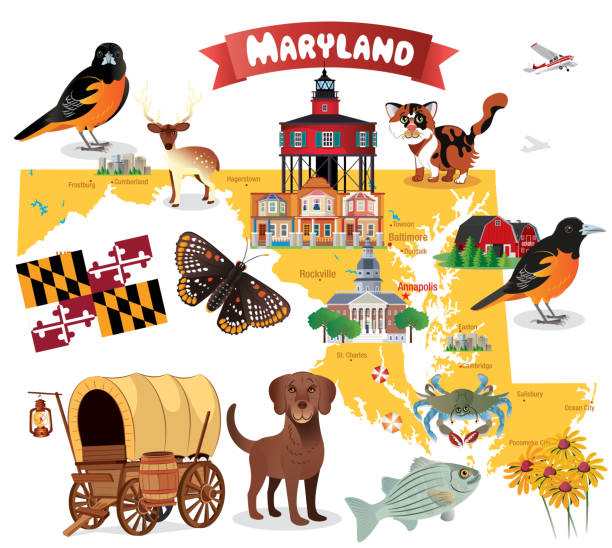 illustrazioni stock, clip art, cartoni animati e icone di tendenza di mappa dei cartoni animati del maryland - maryland blue crab