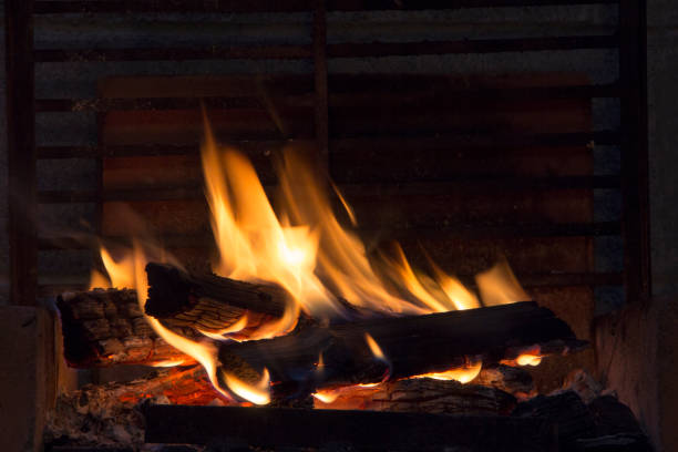 istock bonfire of coal, fire, smoke 1009603598