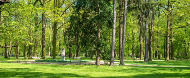 istock Spring in Lazienki Park, Warsaw 1009606752