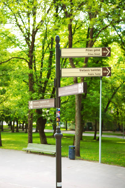 istock Beautiful green spring park-pointers in the park. Vilnius, Lithuania 1009622706