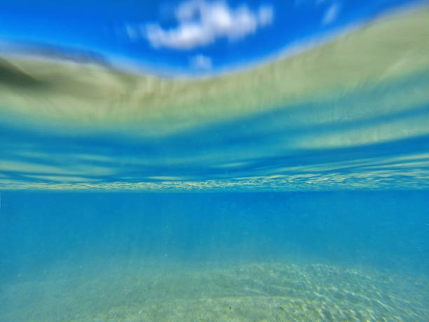 istock sea bottom. Calm underwater scene with copy space 1009624678