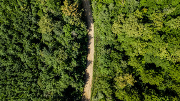 istock Aerial Top Down View Of Caucasus Mountains Forest Trees. 1009629758