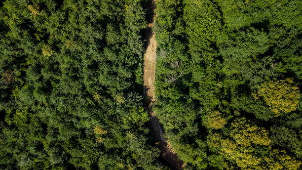istock Aerial Top Down View Of Caucasus Mountains Forest Trees. 1009630068