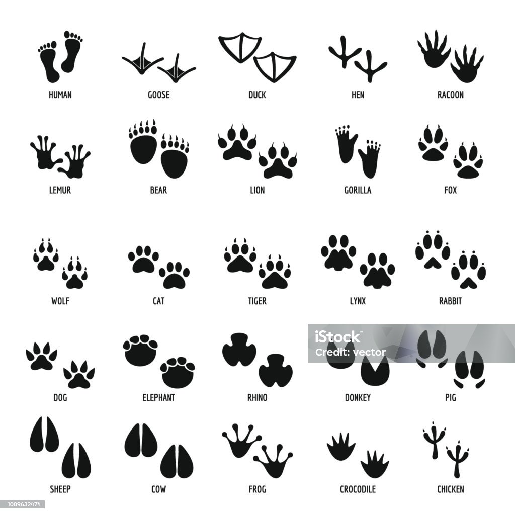 Animal footprint icons set, simple style Animal footprint icons set. Simple illustration of 25 animal footprint vector icons for web Footprint stock vector